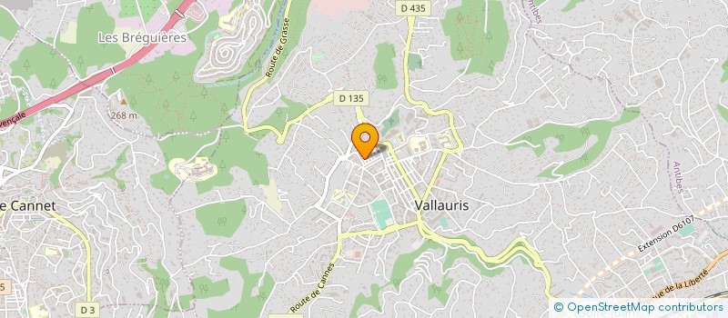 localisation de l'entreprise MONSIEUR GAUTHIER HOUPIN  VALLAURIS