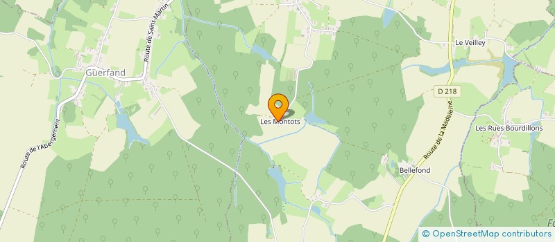 localisation de l'entreprise MONSIEUR GAUTHIER MOILLE  SAINT-MARTIN-EN-BRESSE