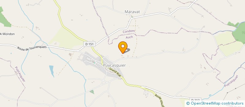 localisation de l'entreprise MONSIEUR GAUTHIER NEGRO  PUYCASQUIER