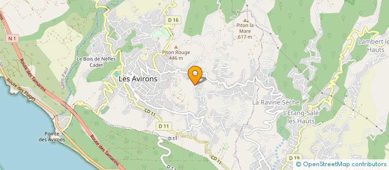 localisation de l'entreprise MONSIEUR GAUTHIER PIRON  LES AVIRONS