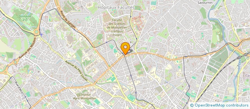 localisation de l'entreprise MONSIEUR GAUTIER BOISSELOT à MONTPELLIER