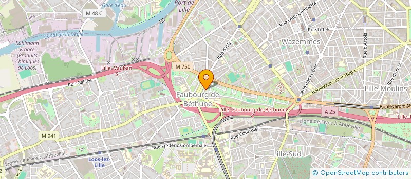 localisation de l'entreprise MONSIEUR GAYLOR FRANCOIS à LILLE