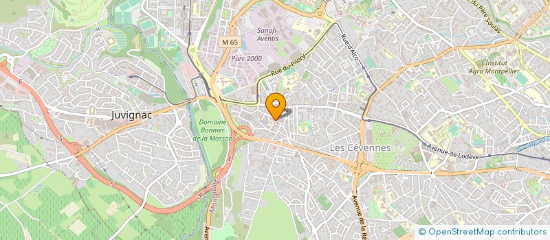 localisation de l'entreprise MONSIEUR GEDEVAN TVARADZE à MONTPELLIER