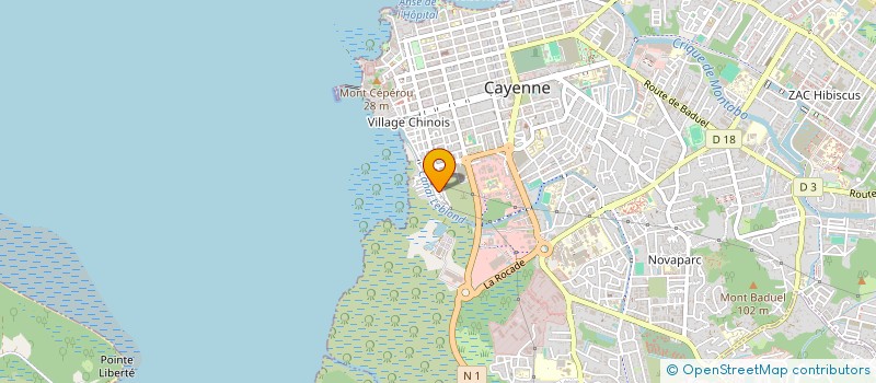 localisation de l'entreprise MONSIEUR GEDIEL DE OLIVEIRA REIS  CAYENNE