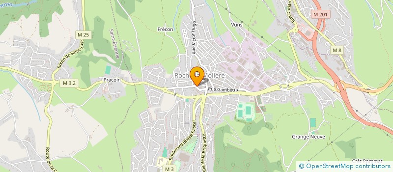 localisation de l'entreprise MONSIEUR GEJMSI FEJZO  SAINT-ETIENNE