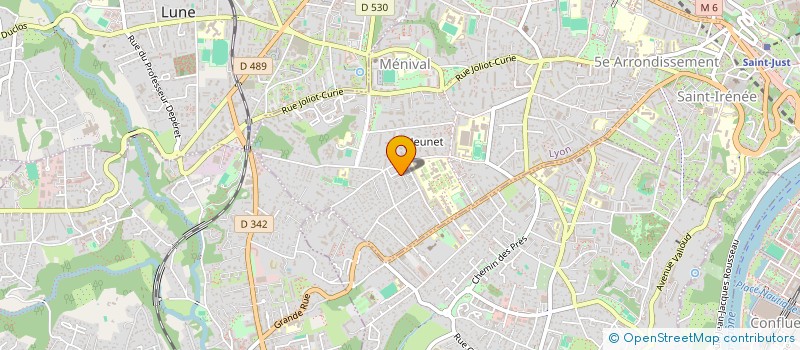 localisation de l'entreprise MONSIEUR GEOFFREY CHAPUIS à LYON