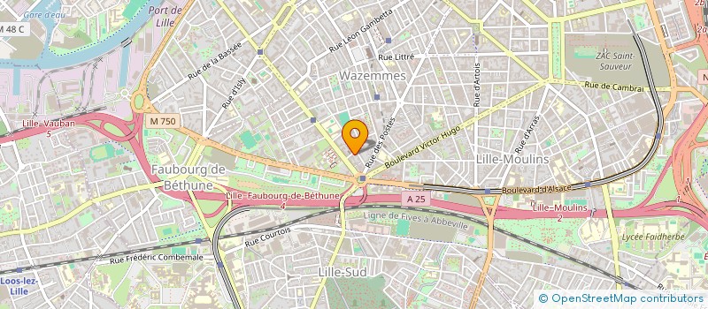 localisation de l'entreprise MONSIEUR GEOFFREY EVRARD  LILLE