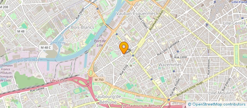localisation de l'entreprise MONSIEUR GEOFFREY NGASSA DE HAPPI  LILLE