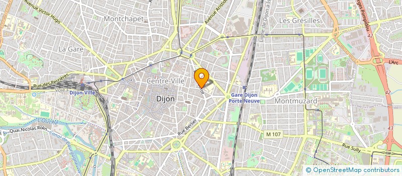 localisation de l'entreprise MONSIEUR GEOFFROY DE LAGUICHE à DIJON