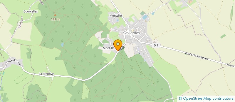 localisation de l'entreprise MONSIEUR GEOFFROY LORMEAU  SAVIGNIES