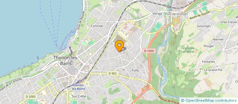 localisation de l'entreprise MONSIEUR GEORGE ILINCA à THONON-LES-BAINS