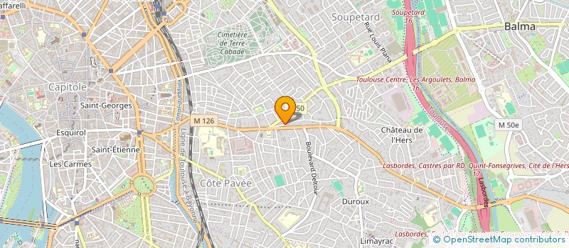 localisation de l'entreprise MONSIEUR GEORGE IRWIN à TOULOUSE
