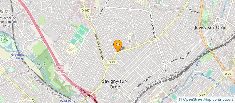 localisation de l'entreprise MONSIEUR GEORGE PLANT à SAVIGNY-SUR-ORGE