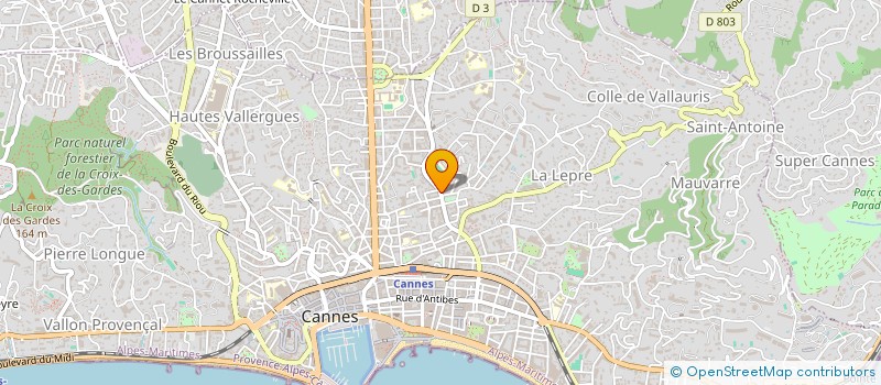 localisation de l'entreprise MONSIEUR GEORGE VASILE à CANNES
