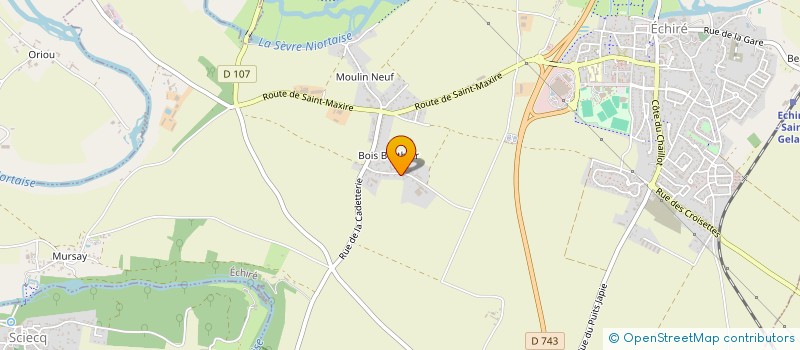 localisation de l'entreprise MONSIEUR GEORGE VIGNEAU  ECHIRE