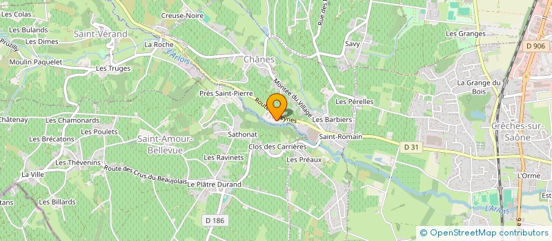 localisation de l'entreprise MONSIEUR GEORGES ADOIR à SAINT-AMOUR-BELLEVUE