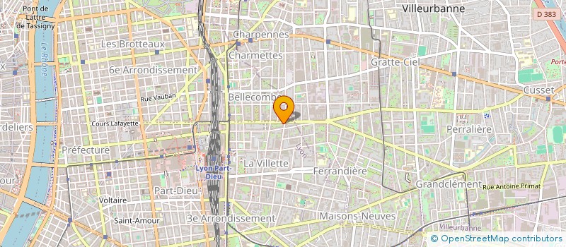 localisation de l'entreprise MONSIEUR GEORGES BALDRICHI  LYON