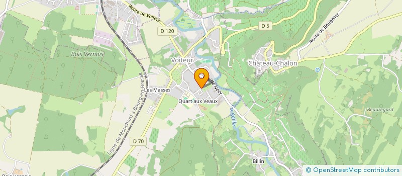 localisation de l'entreprise MONSIEUR GEORGES BOURDY  CHATEAU-CHALON