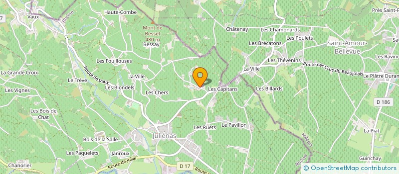 localisation de l'entreprise MONSIEUR GEORGES BRIDET  JULIENAS