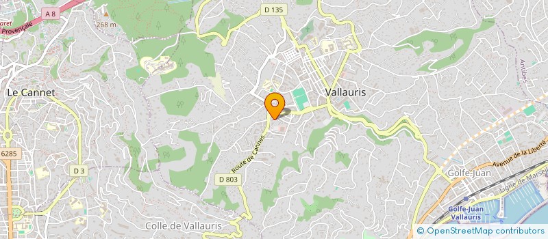 localisation de l'entreprise MONSIEUR GEORGES CAPO à VALLAURIS