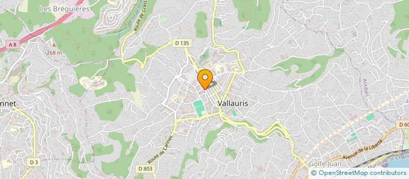 localisation de l'entreprise MONSIEUR GEORGES CASTILLAN à VALLAURIS