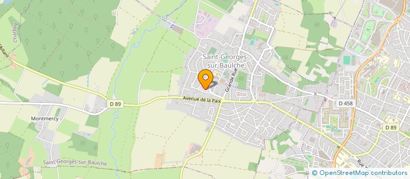 localisation de l'entreprise MONSIEUR GEORGES CHANEL à SAINT-GEORGES-SUR-BAULCHE