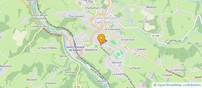 localisation de l'entreprise MONSIEUR GEORGES CHATEAU  SAINT-LEONARD-DE-NOBLAT