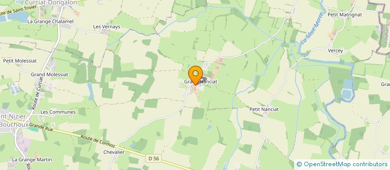 localisation de l'entreprise MONSIEUR GEORGES FAUSSURIER  SAINT-NIZIER-LE-BOUCHOUX