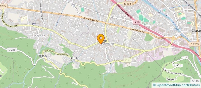 localisation de l'entreprise MONSIEUR GEORGES FAVRE à SCIONZIER