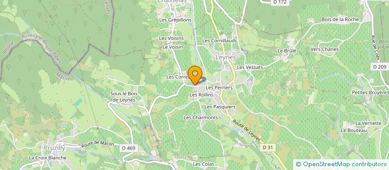 localisation de l'entreprise MONSIEUR GEORGES FLACHAT à LEYNES