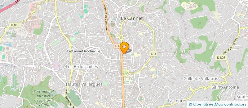 localisation de l'entreprise MONSIEUR GEORGES GAMALERI  LE CANNET