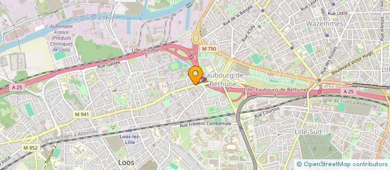 localisation de l'entreprise MONSIEUR GEORGES GREGORY NZOUNGOU-POATY  LILLE