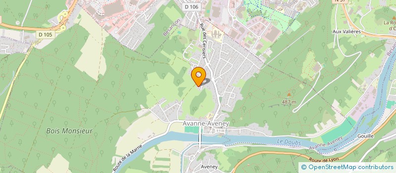 localisation de l'entreprise MONSIEUR GEORGES HIDALGO  AVANNE-AVENEY