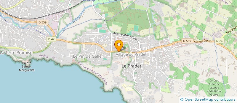 localisation de l'entreprise MONSIEUR GEORGES LAI  LE PRADET