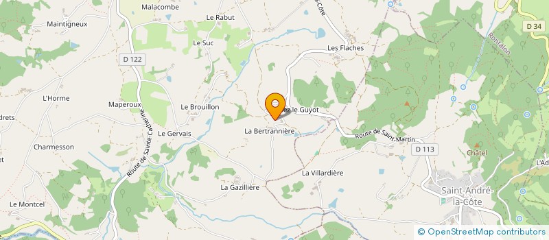 localisation de l'entreprise MONSIEUR GEORGES MALLAVAL à SAINT-MARTIN-EN-HAUT
