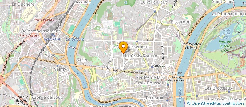 localisation de l'entreprise MONSIEUR GEORGES MASSO  LYON