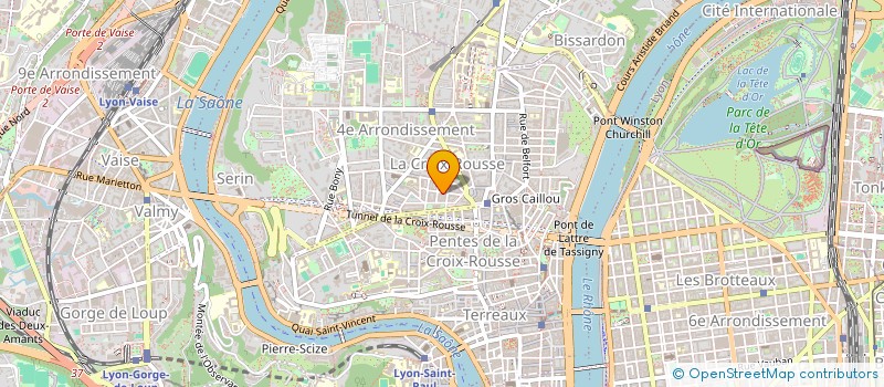 localisation de l'entreprise MONSIEUR GEORGES MICHAUD  LYON