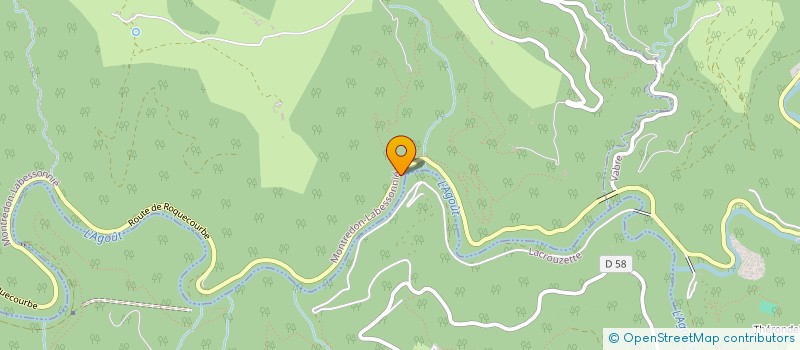 localisation de l'entreprise MONSIEUR GEORGES MOLINIE  MONTREDON-LABESSONNIE