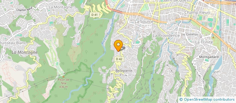 localisation de l'entreprise MONSIEUR GEORGES NICOLE  SAINT-DENIS