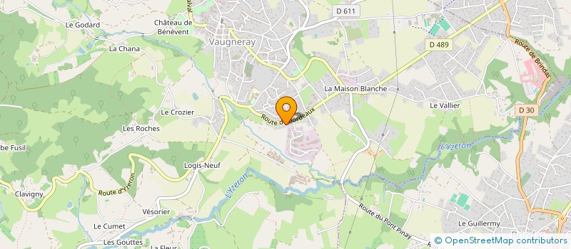 localisation de l'entreprise MONSIEUR GEORGES ODIN  VAUGNERAY