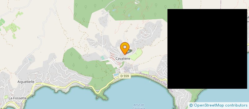 localisation de l'entreprise MONSIEUR GEORGES PERGOLA  LE LAVANDOU