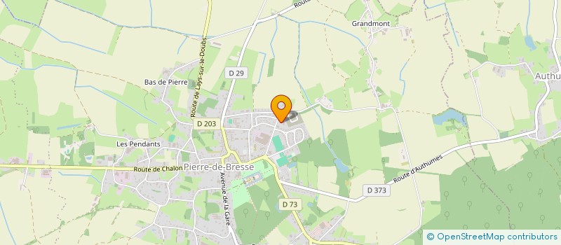localisation de l'entreprise MONSIEUR GEORGES PERNIN à PIERRE-DE-BRESSE