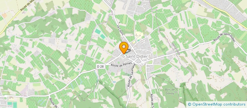 localisation de l'entreprise MONSIEUR GEORGES RASIDY  SAINT-DIDIER