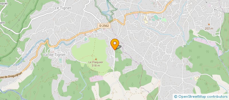 localisation de l'entreprise MONSIEUR GEORGES RAYNAUD  LE TIGNET