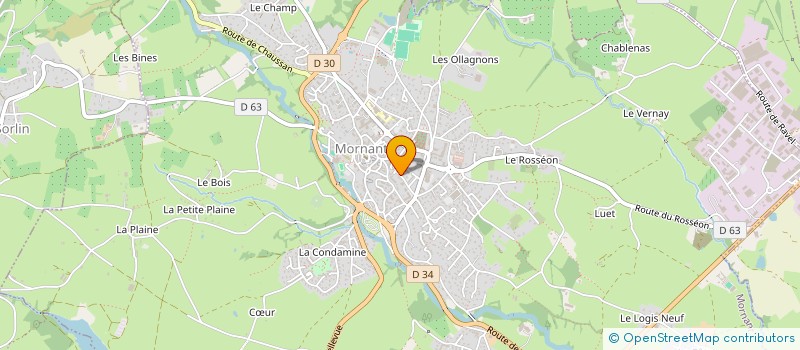 localisation de l'entreprise MONSIEUR GEORGES REYNARD  MORNANT