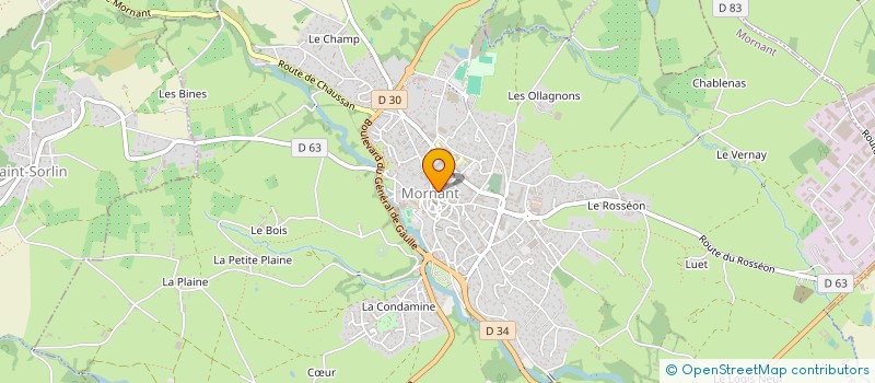 localisation de l'entreprise MONSIEUR GEORGES RIBERON  MORNANT