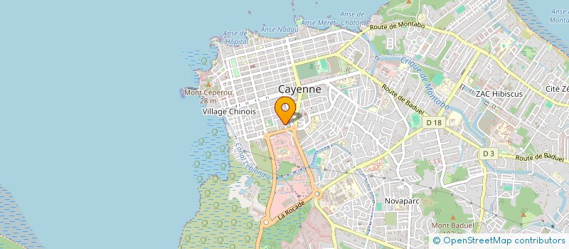 localisation de l'entreprise MONSIEUR GEORGES ROGIER  CAYENNE