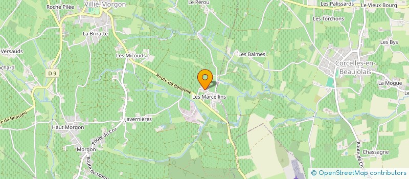 localisation de l'entreprise MONSIEUR GEORGES SERVAGE à VILLIE-MORGON