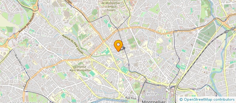 localisation de l'entreprise MONSIEUR GEORGES THIEBAULT à MONTPELLIER
