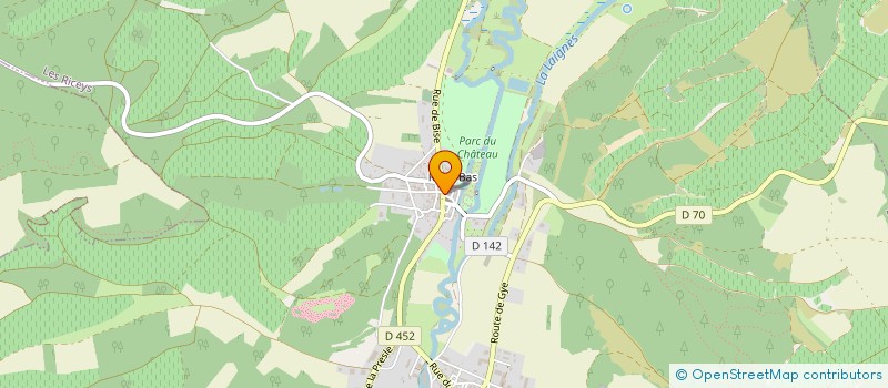 localisation de l'entreprise MONSIEUR GEORGES THIEBAUT  LES RICEYS